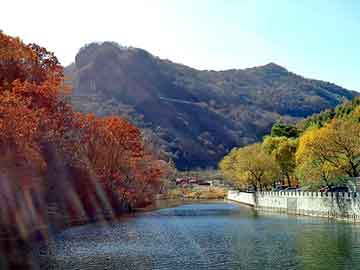 新澳天天开奖资料大全旅游团，红颜倾天下